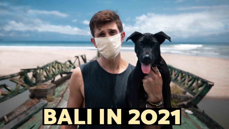 BALI in 2021..the harsh reality BALI in 2021..the harsh reality