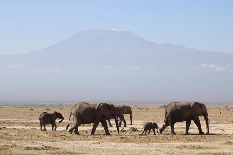 5 Types Of Vacations That Everyone Should Experience At Least Once